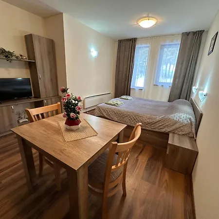 Apartment студиа Friends